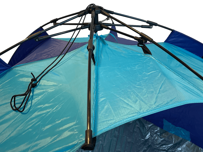 Strandmuschel Strandmuschel