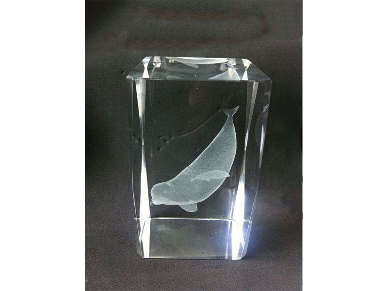 Paperweight Paperweight