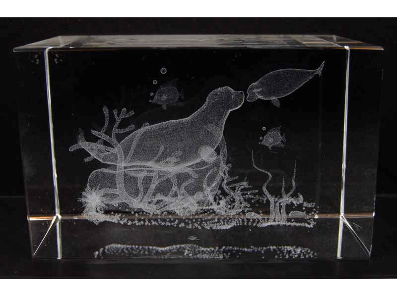 Paperweight Paperweight