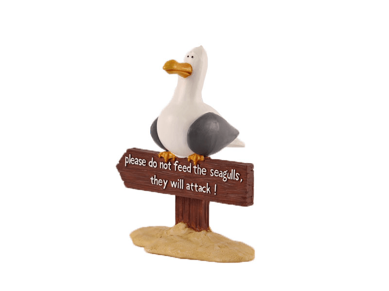 Seagull Seagull