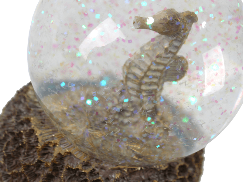 Schudbal zeepaardje op koraal 80mm