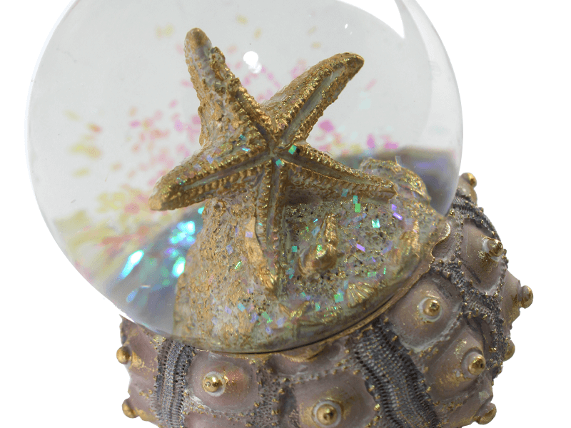 Schudbal zeester op koraal 65mm Schudbal zeester op koraal 65mm