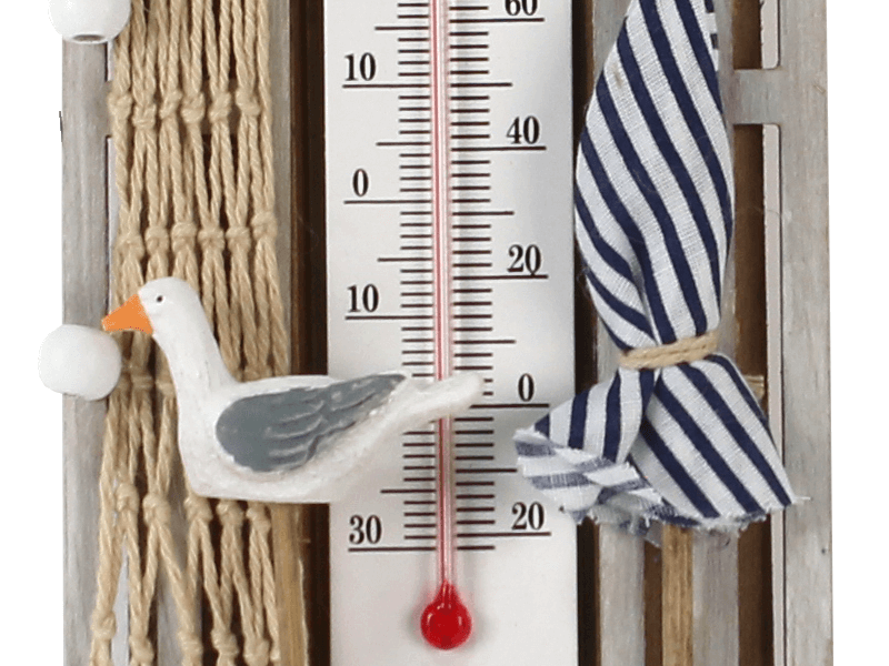 Thermometer groenblauw 40cm Thermometer groenblauw 40cm