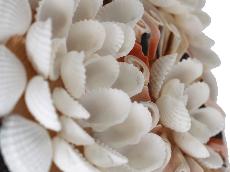 Schelpen decoratie hart wit roze Schelpen decoratie hart wit roze
