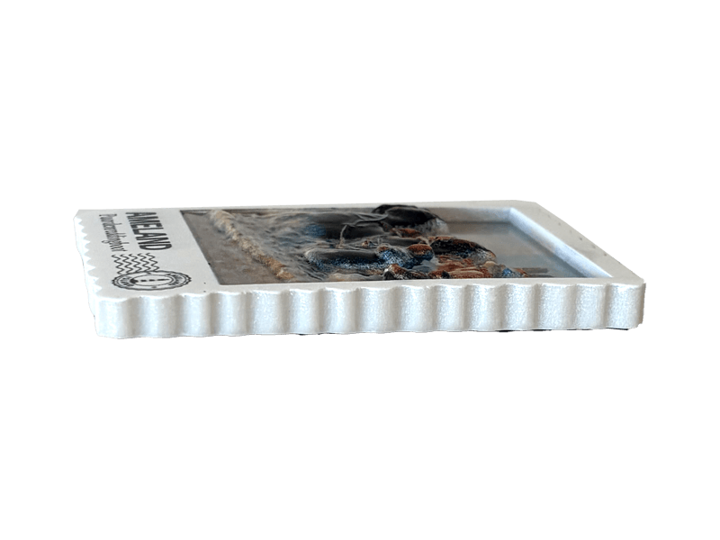 Magneet postzegel 3D  AMELAND Paard