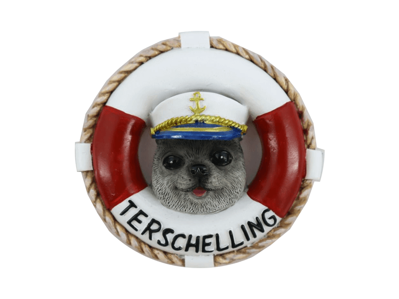 Magn zeehond reddingsb TERSCHELLING