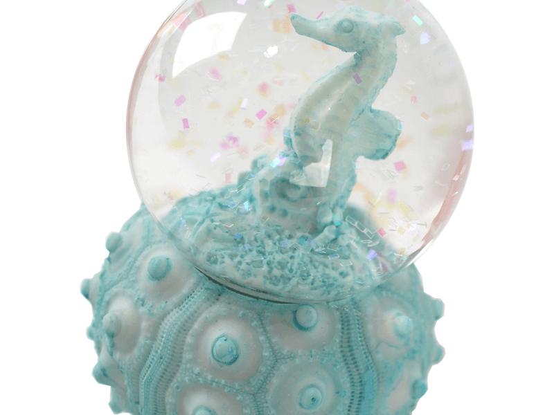 Schudbal zeepaardje op koraal Schudbal zeepaardje op koraal